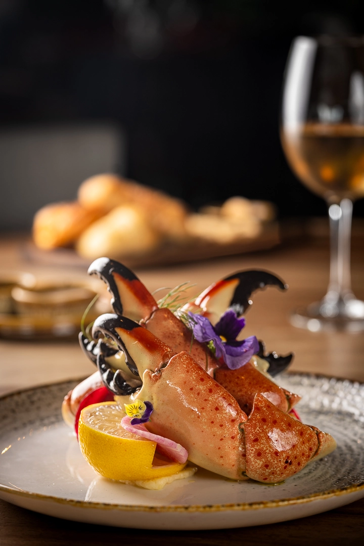 dish4